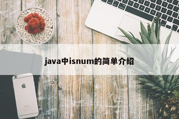 java中isnum的简单介绍