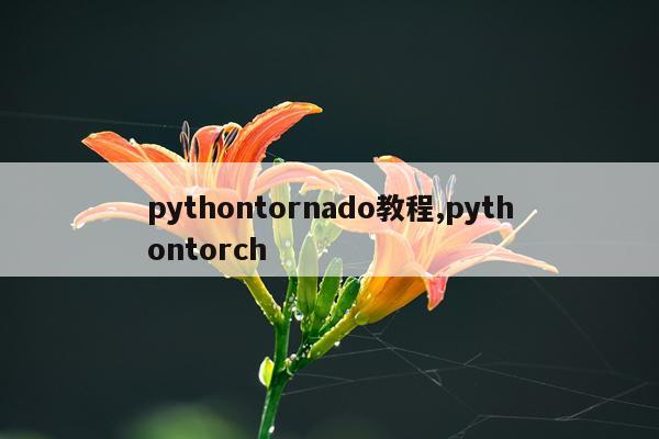 pythontornado教程,pythontorch