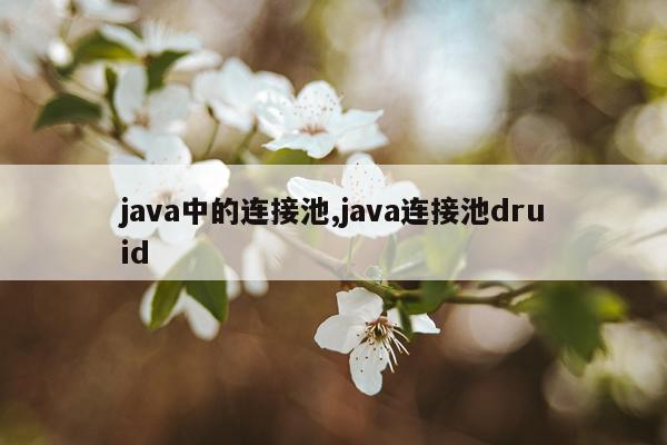 java中的连接池,java连接池druid