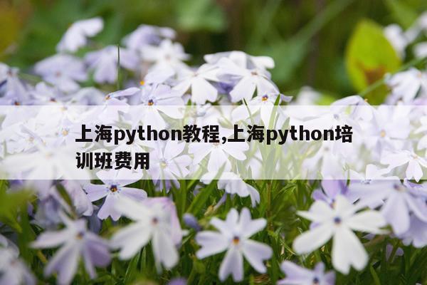 上海python教程,上海python培训班费用