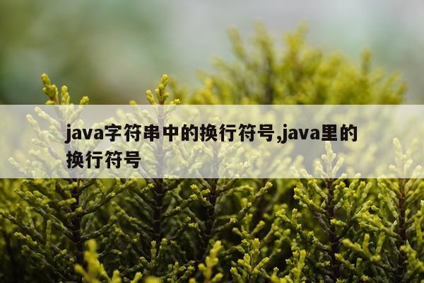 java字符串中的换行符号,java里的换行符号