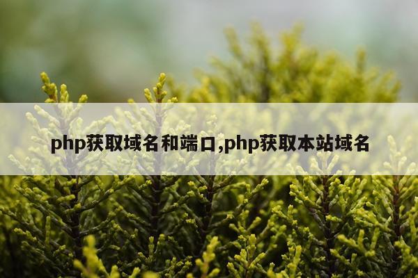 php获取域名和端口,php获取本站域名