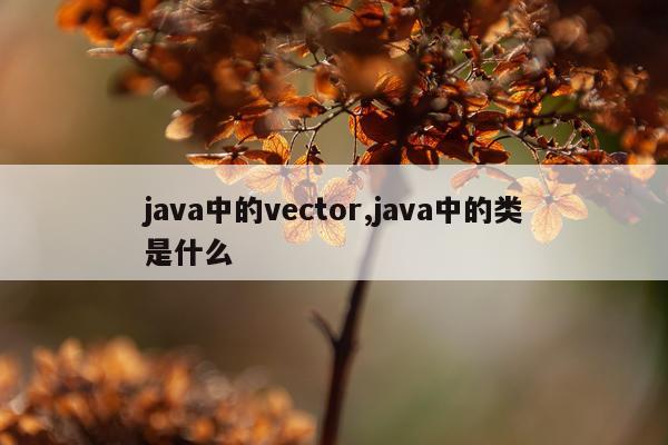 java中的vector,java中的类是什么