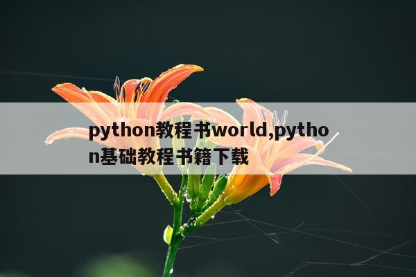 python教程书world,python基础教程书籍下载
