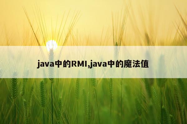 java中的RMI,java中的魔法值