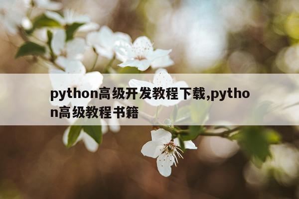 python高级开发教程下载,python高级教程书籍