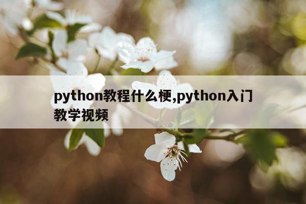 python教程什么梗,python入门教学视频