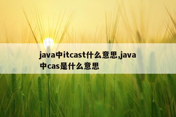 java中itcast什么意思,java中cas是什么意思