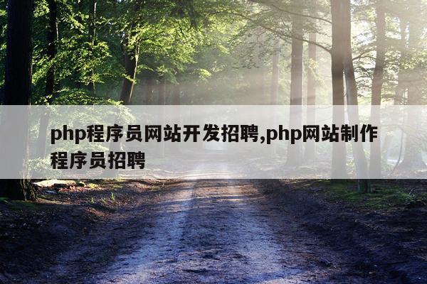 php程序员网站开发招聘,php网站制作程序员招聘