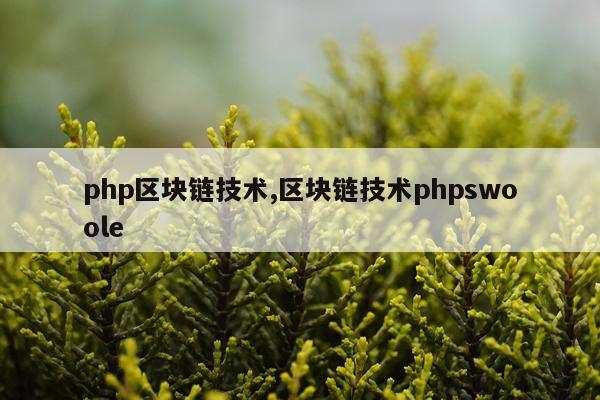 php区块链技术,区块链技术phpswoole
