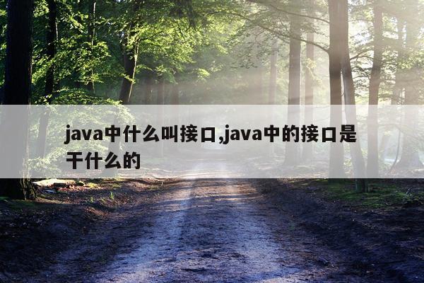 java中什么叫接口,java中的接口是干什么的