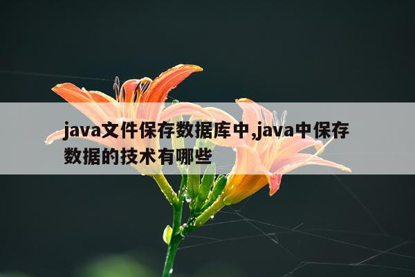 java文件保存数据库中,java中保存数据的技术有哪些