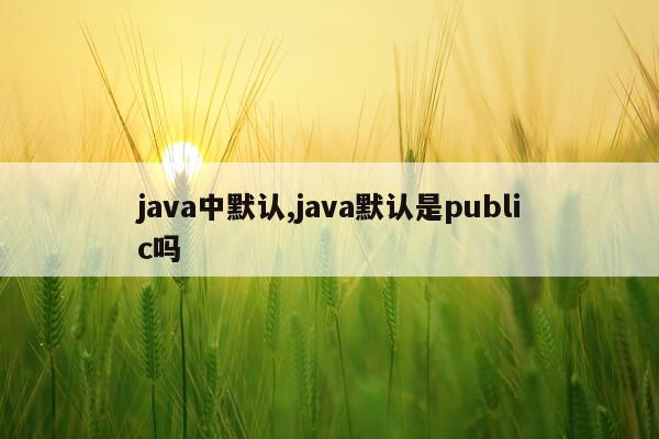 java中默认,java默认是public吗