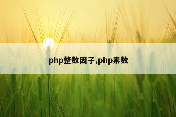 php整数因子,php素数