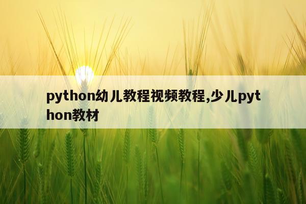 python幼儿教程视频教程,少儿python教材