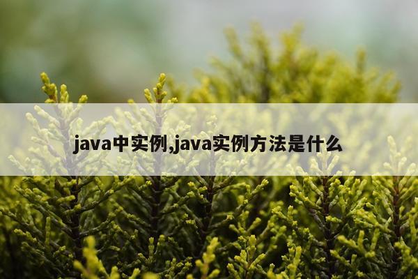 java中实例,java实例方法是什么
