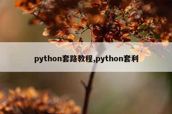 python套路教程,python套利