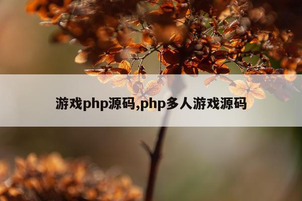 游戏php源码,php多人游戏源码