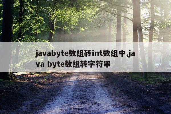 javabyte数组转int数组中,java byte数组转字符串