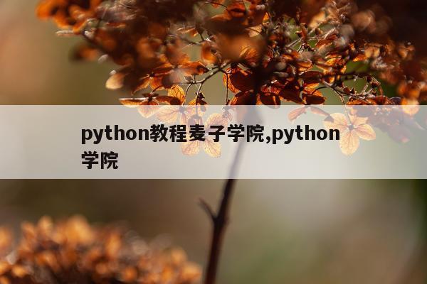 python教程麦子学院,python 学院