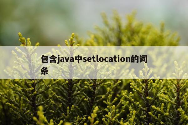 包含java中setlocation的词条