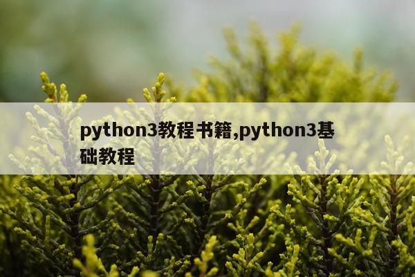 python3教程书籍,python3基础教程