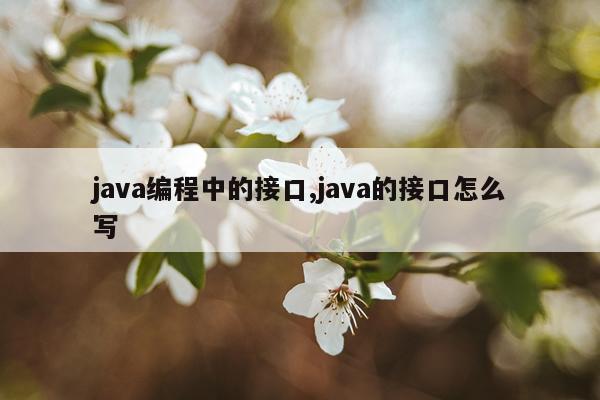 java编程中的接口,java的接口怎么写