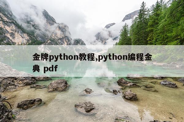 金牌python教程,python编程金典 pdf
