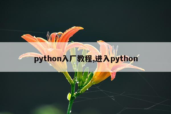 python入厂教程,进入python