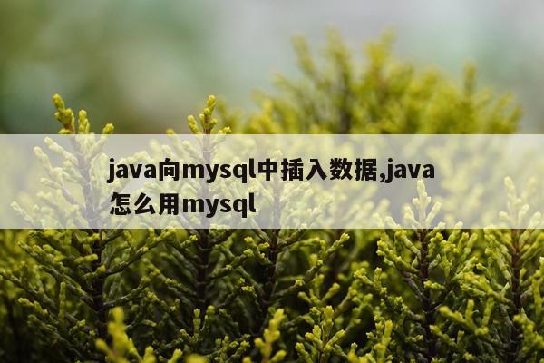 java向mysql中插入数据,java怎么用mysql
