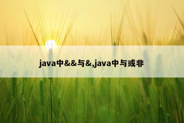 java中&&与&,java中与或非