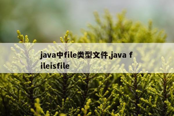 java中file类型文件,java fileisfile