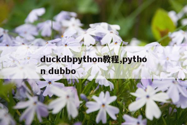 duckdbpython教程,python dubbo