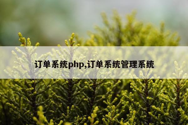 订单系统php,订单系统管理系统
