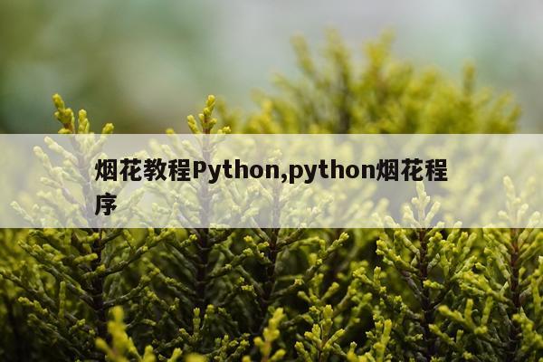 烟花教程Python,python烟花程序