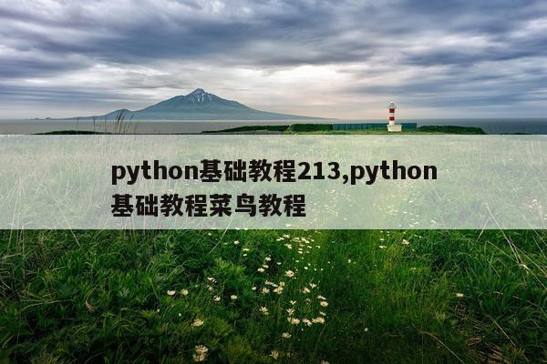 python基础教程213,python基础教程菜鸟教程