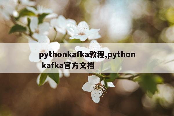 pythonkafka教程,python kafka官方文档