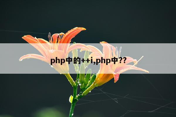 php中的++i,php中??