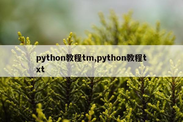 python教程tm,python教程txt