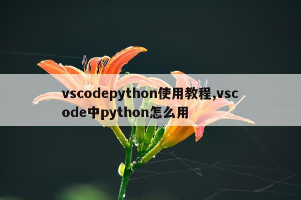 vscodepython使用教程,vscode中python怎么用