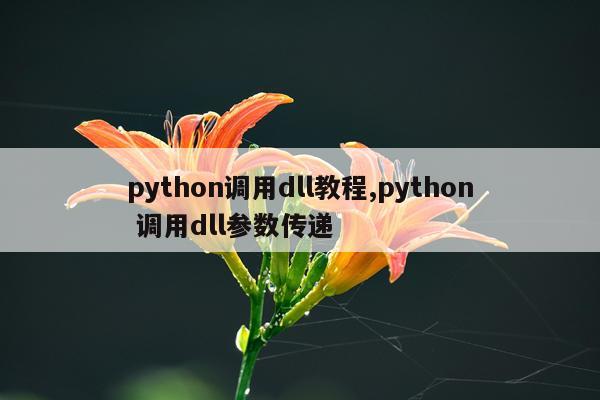 python调用dll教程,python 调用dll参数传递
