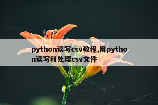 python读写csv教程,用python读写和处理csv文件