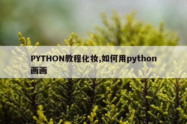 PYTHON教程化妆,如何用python画画