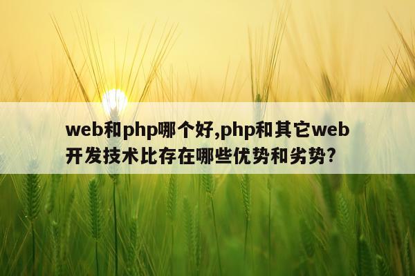web和php哪个好,php和其它web开发技术比存在哪些优势和劣势?