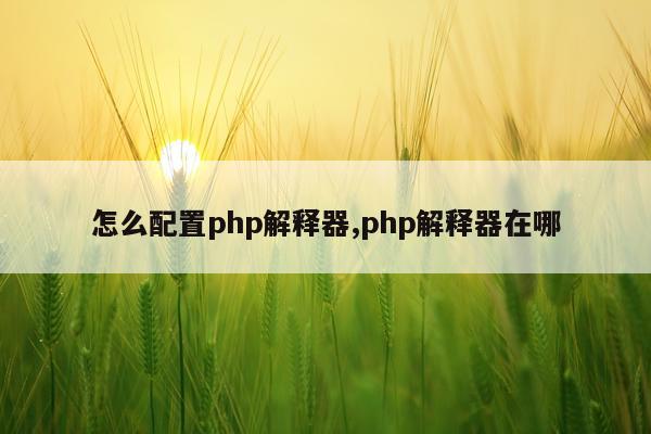 怎么配置php解释器,php解释器在哪