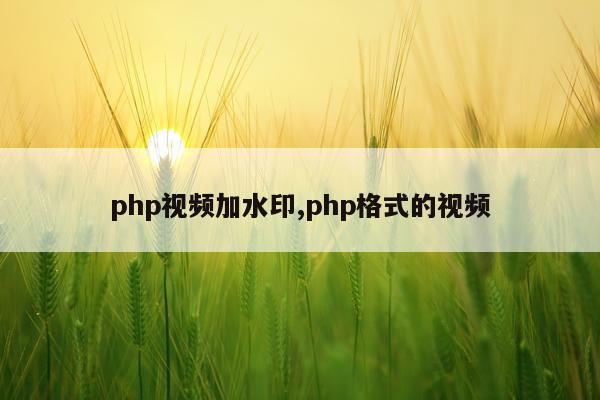 php视频加水印,php格式的视频