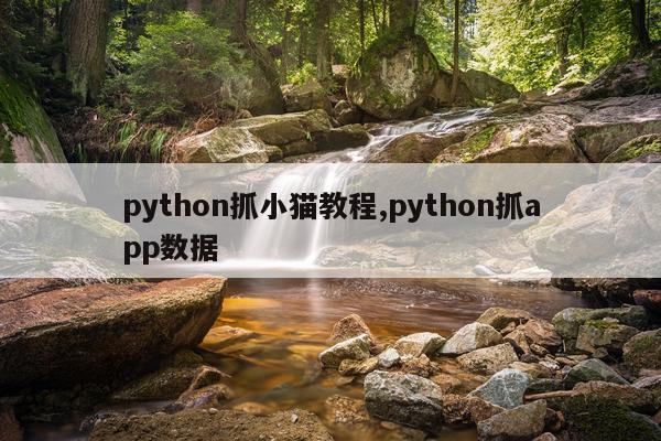 python抓小猫教程,python抓app数据