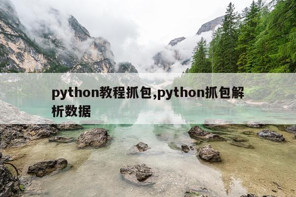python教程抓包,python抓包解析数据