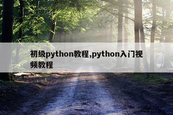 初级python教程,python入门视频教程