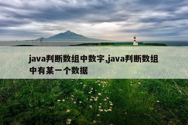 java判断数组中数字,java判断数组中有某一个数据
